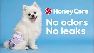 Dog Diapers for Everyday Life | Odor Control, No Leaks & Easy Fit#dogdiapers #honeycare