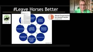 Webinar 5 - Collective Solutions