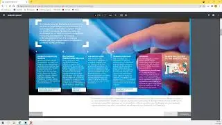 AIG Cyber & D&O