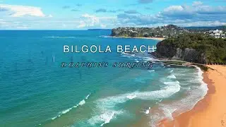 FLYING OVER NORTHERN BEACH (SYDNEY AUSTRALIA) ll DOLPHINS SURFING lll 4K ll RELAXING lll