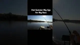 Summer Jig Fishing Just Got Even Better #shorts #bassfishing #fishing #kayakfishing #jigfishing