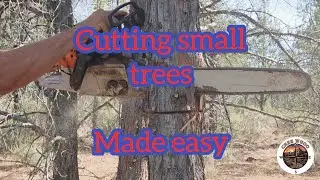 How i fell small trees on the homestead.