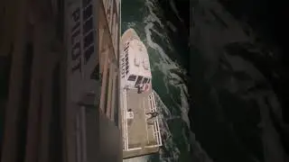 Liberty of the seas pilot drop off Dec 2024