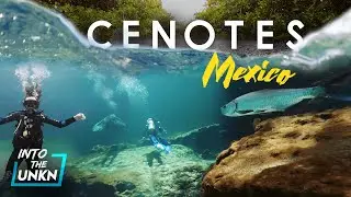 Cenotes in Tulum, Riviera Maya, Mexico! (scuba diving best caves near Cancun)