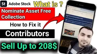 How to Nominate Your Asset Free Collection (Tutorial)