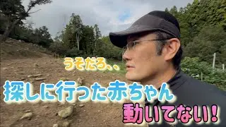 出産したのか？