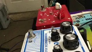 The Moody Sounds &ldquo;Mushroom Eye&ldquo; Echo Pedal.