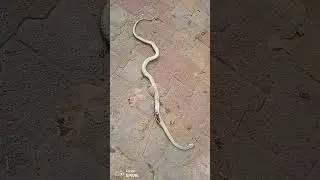 #found somewhere 😮