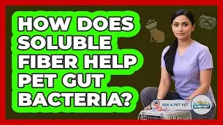 How Does Soluble Fiber Help Pet Gut Bacteria?