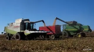 Agrosz&aacute;sz Kft. & L&aacute;d&aacute;s Kft. [2014] Őszi betakar&iacute;t&aacute;s