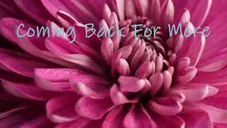 Coming Back For More by Ric Callis