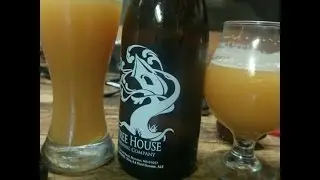 Beer Review #46 - Tree House Juice Machine