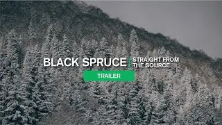 Straight from the Source: Black Spruce Trailer