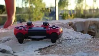 FELIX 