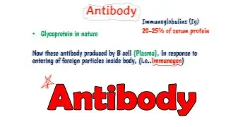Introduction to antibody part-1 (hindi) || structure of antibody
