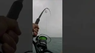 Perth Rockwall Snapper Fishing.