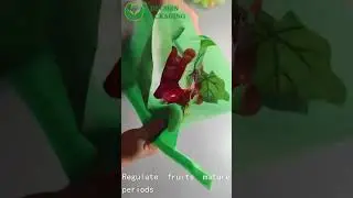 Grape Bag Fruit Bag Bag Mangoes Protection +8613583554035