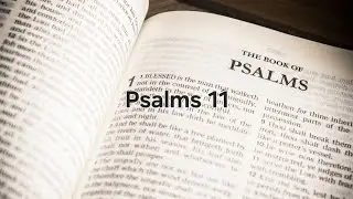 Daily Devotional Day 11 (Psalms 11)