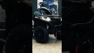 KING OF THE JUNGLE | XWolf 1000
