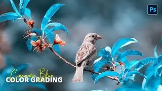 Blue Tone Photo Editing in Photoshop | Cinematic Color Grading Tutorial 