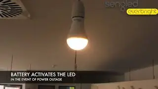 Sengled Everbright Lampara Led + Luz de Emergencia