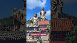 The world's largest 