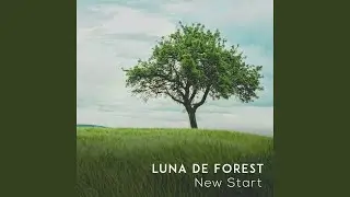 New Start