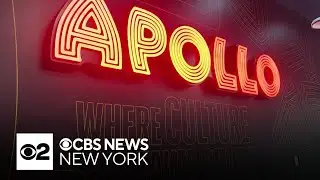 Apollo Theater President Michelle Ebanks shares vision for the future