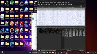 Network packet capture