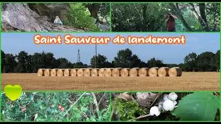 les petOns et leurs nouvelles chaussures &agrave; Saint Sauveur de LandemOnt-🥾🐑