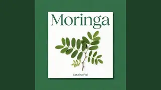Moringa