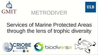 METRODIVER Project Presentation