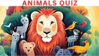 Animals Quiz