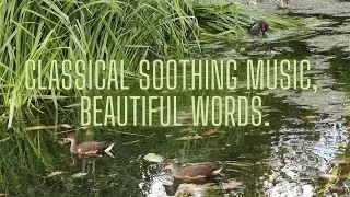 Expression of Emotion: A Journey into the World of Classical Music.