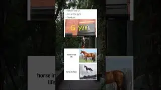#fyp #viral