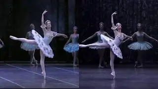 Dulcinée - Don Quichotte Acte 2  Aurélie Dupont / Dorothée Gilbert
