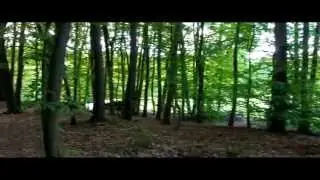 Kastell L&uuml;tzelbach am Odenwald Limes