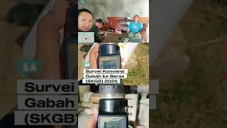 Survei Konversi Gabah ke Beras (SKGB) 2025.