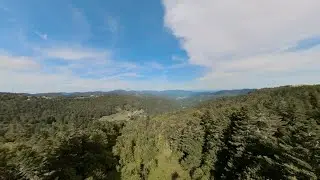 le Massif des Vosges &agrave; travers les 4 saisons