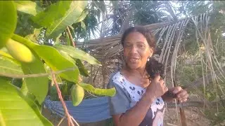 Venha olhar como