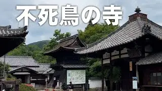 【三井寺 観音堂】「琵琶湖を見渡す長等山（354m）の中腹にある」園城寺（2025年5月29日）