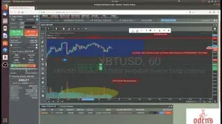 Bitcoin Trading (Bitmex) with Free Signals 24/7