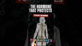 Aging Without Bone Loss: How Hormones Protect Your Skeleton