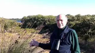 Towra Point Nature Reserve Grey Globe Award