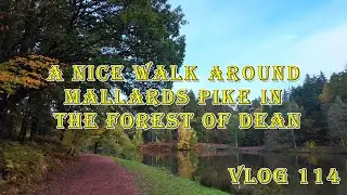 🌳 A NICE WALK AROUND MALLARDS PIKE – FOREST OF DEAN ADVENTURE 🌳 VLOG 114