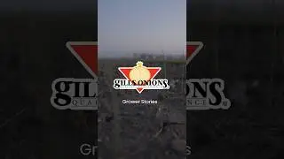 Grower Stories | Gills Onions