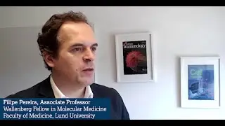 Open Innovation success story: Felipe Pereira