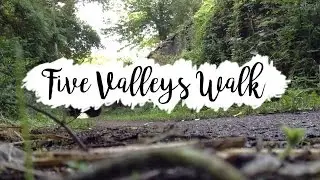 The Cotswolds Five Valleys Walk | Meningitis Now