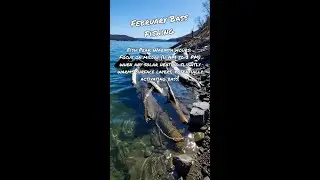February Bass Fishing Tips #2