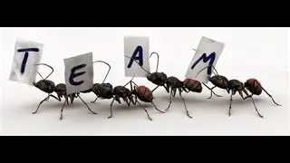 Story of  Ants: The Power of Teamwork!   #motivation #inspiration #teamwork #motivationalvideo